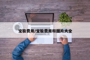 宝骏费用/宝骏费用和图片大全