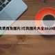 灯具费用及图片/灯具图片大全2020新款