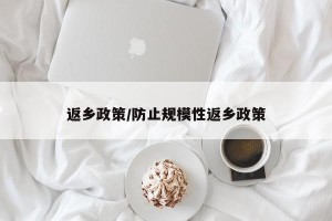 返乡政策/防止规模性返乡政策