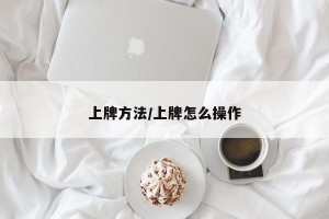 上牌方法/上牌怎么操作